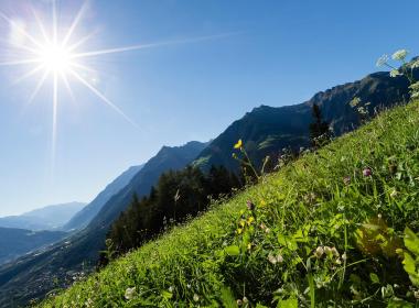 natur-wiese-sonnenschein-schenna-kp